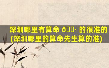 深圳哪里有算命 🌷 的很准的(深圳哪里的算命先生算的准)
